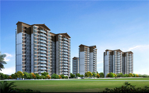 老传手番茄米线