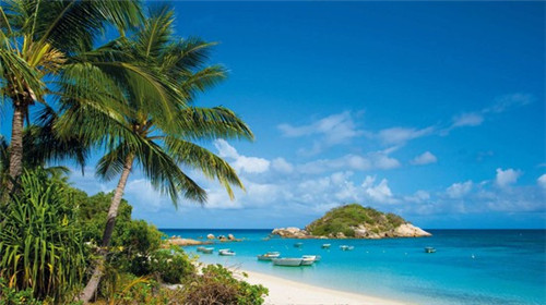 重庆黑豆花鱼火锅