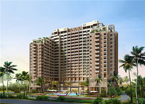 信口是什么意思（信口的信）